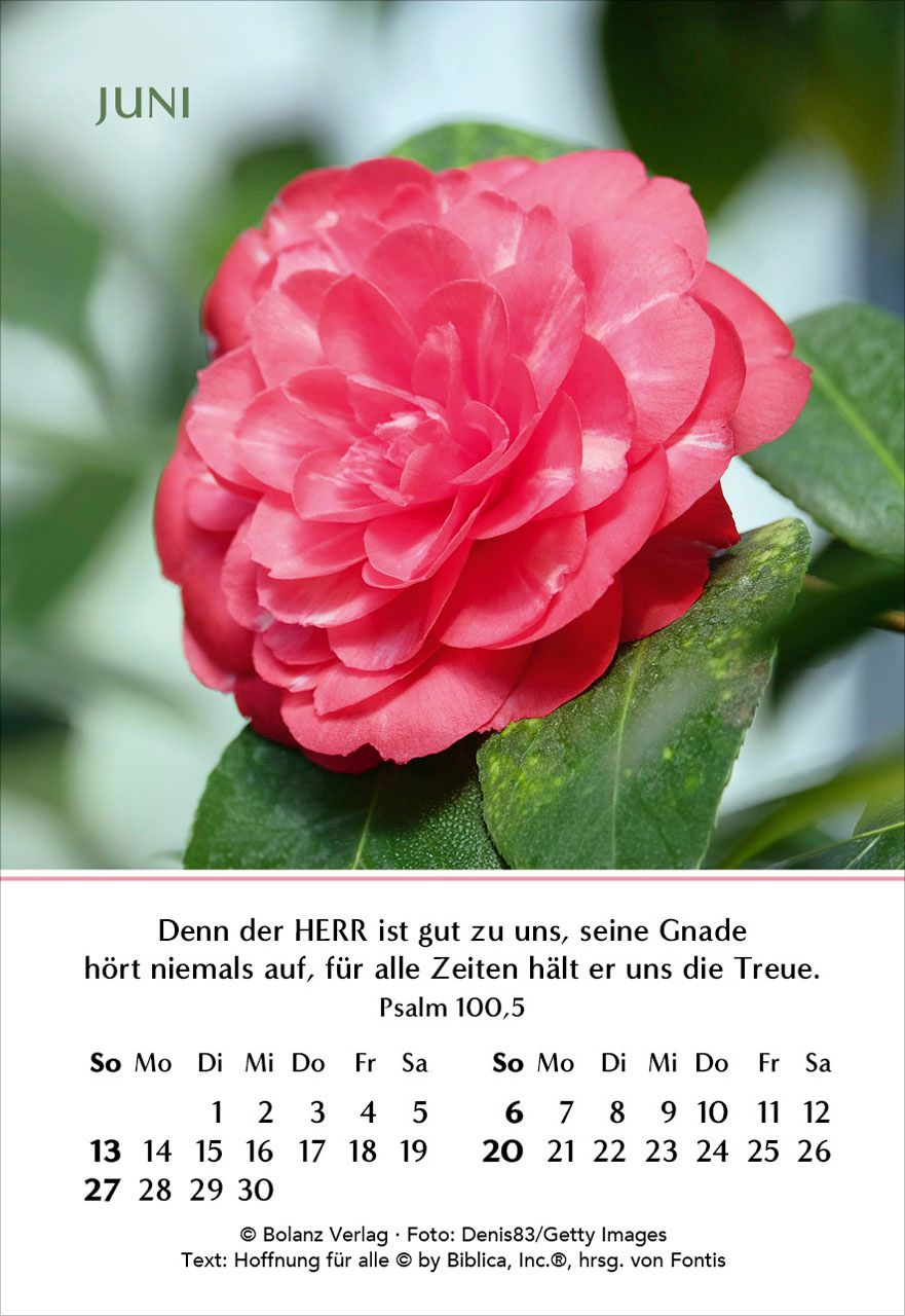 Aufstellkalender - Ein Jahr der Freude 2027