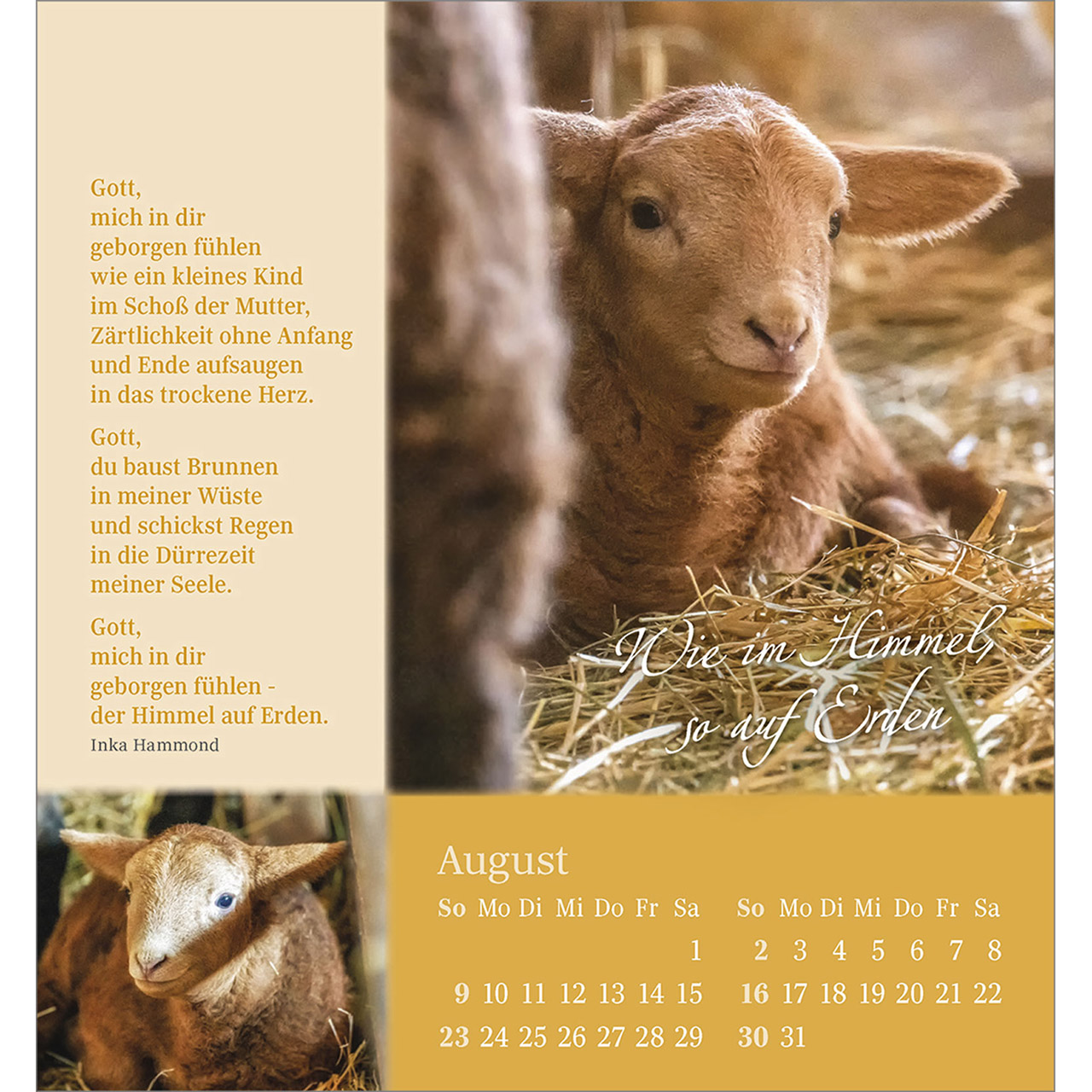 Tischkalender - Sei behütet und geborgen 2026