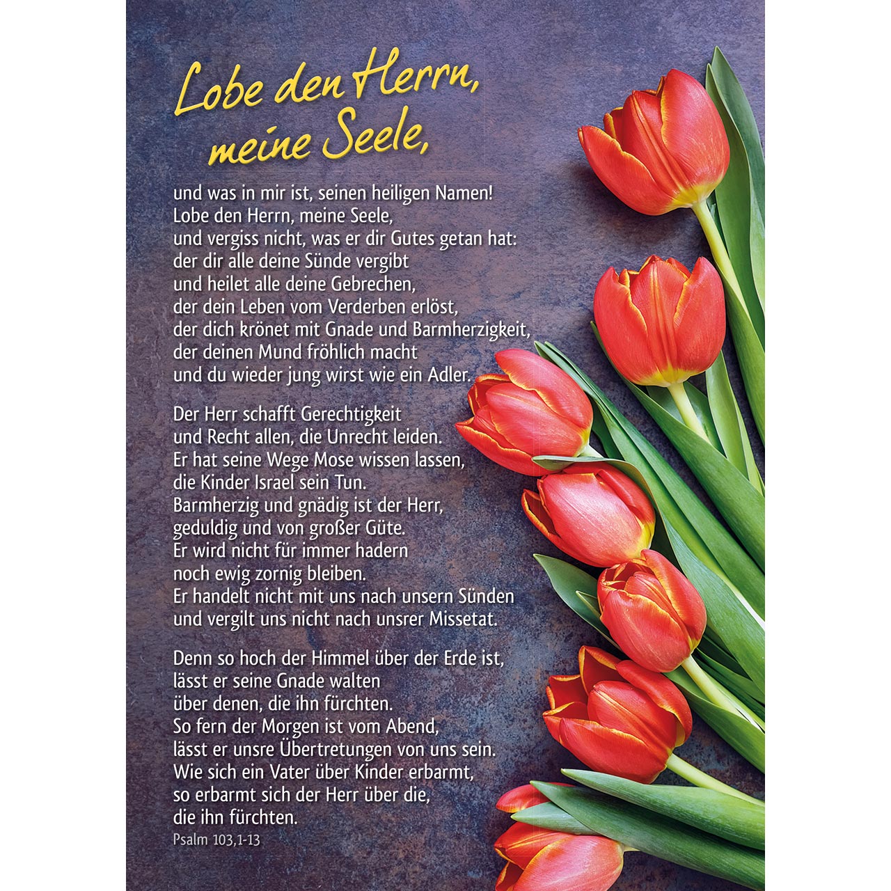 Lobe den Herrn Lobe den Herrn