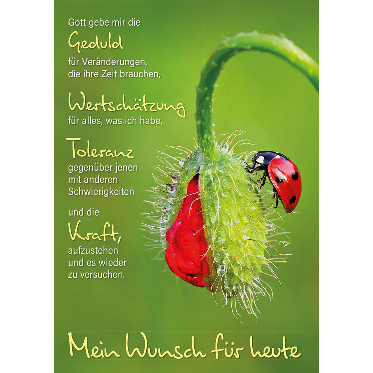 Postkarten-Buch - Ich bin für dich da! - Top-Motive