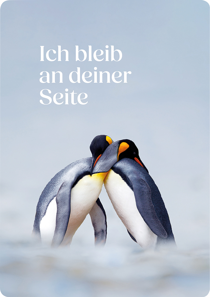 Postkarte - Postkarte 'Ich bleib an deiner Seite'