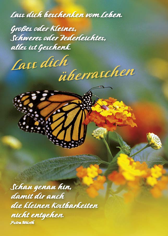 Lass dich beschenken