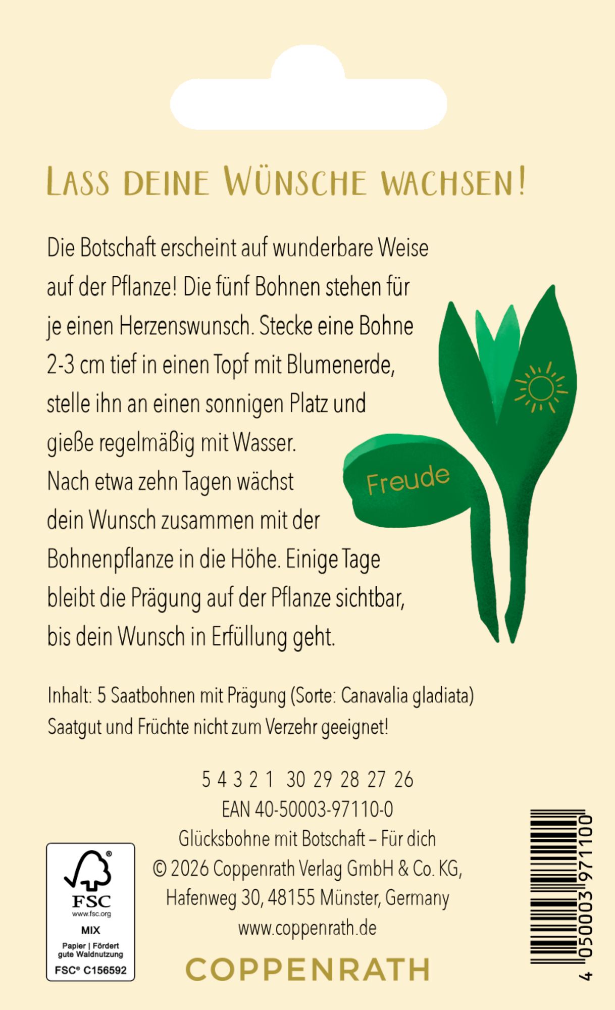 Saatgut - Glücksbohnen - Für dich