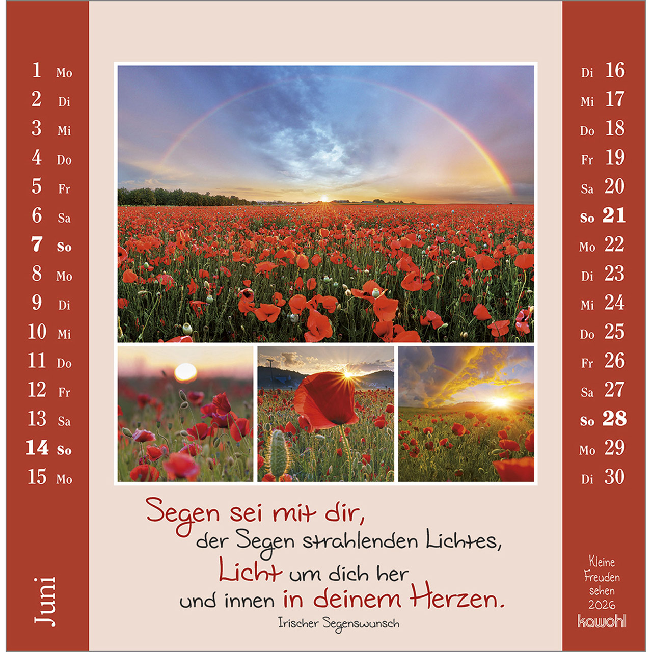 Postkartenkalender - Kleine Freuden sehen 2026