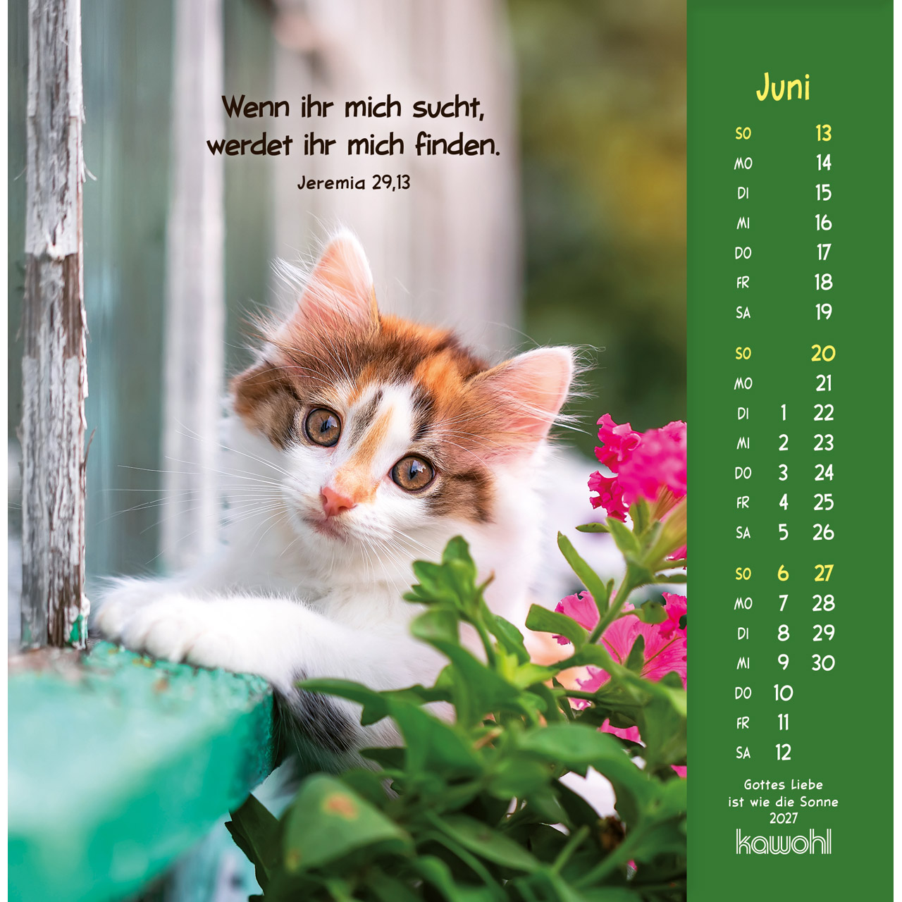 Postkartenkalender - Gottes Liebe ist wie die Sonne 2027