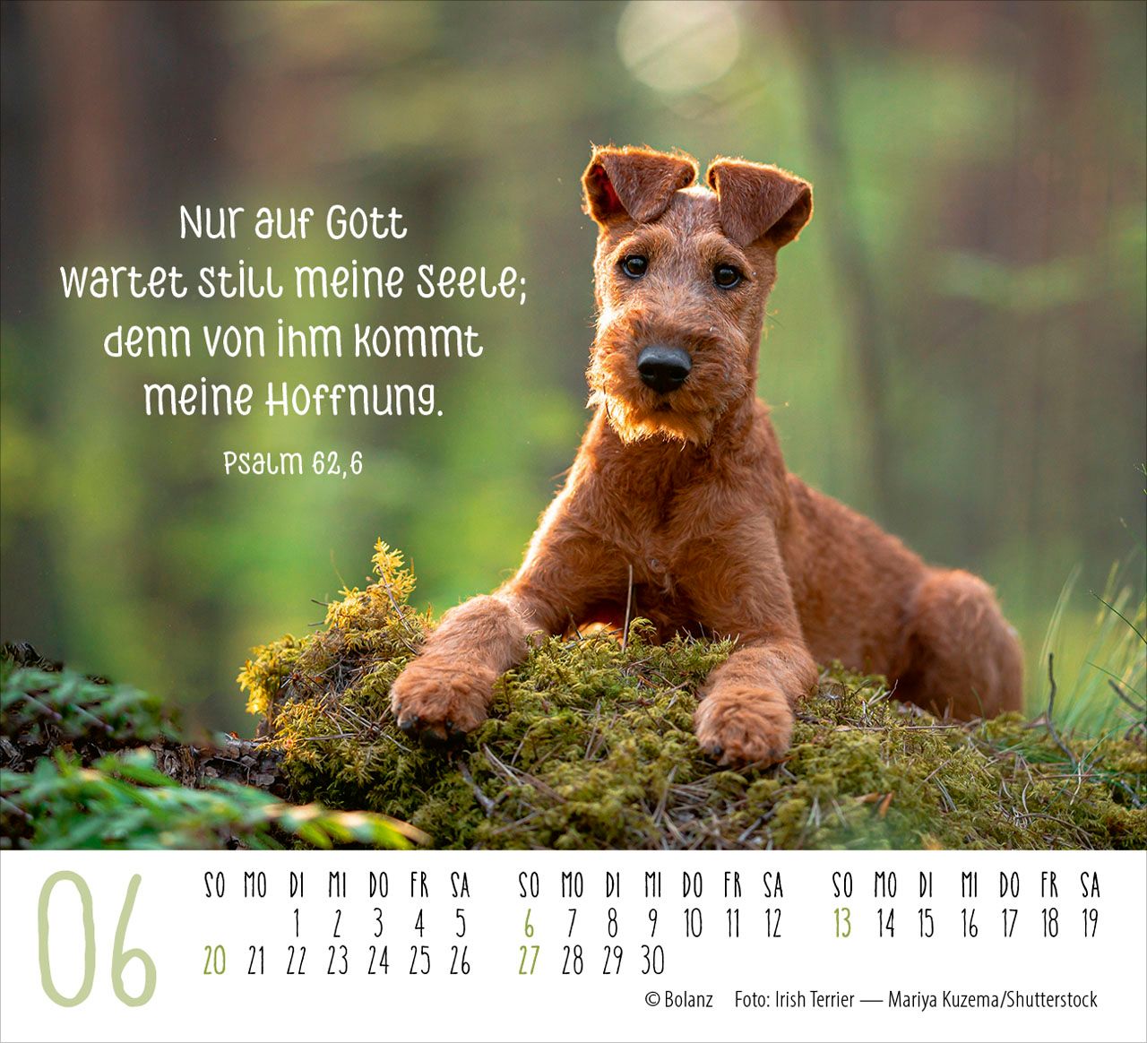 Aufstellkalender - Hunde 2027