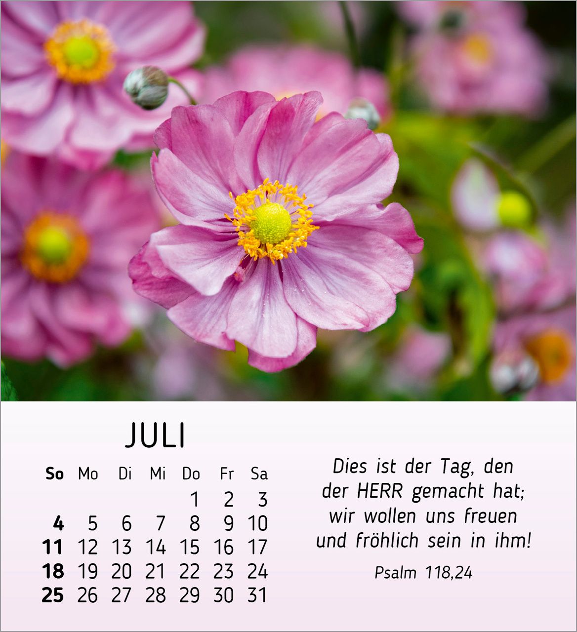 Tischkalender - Ich wünsch dir Freude 2027