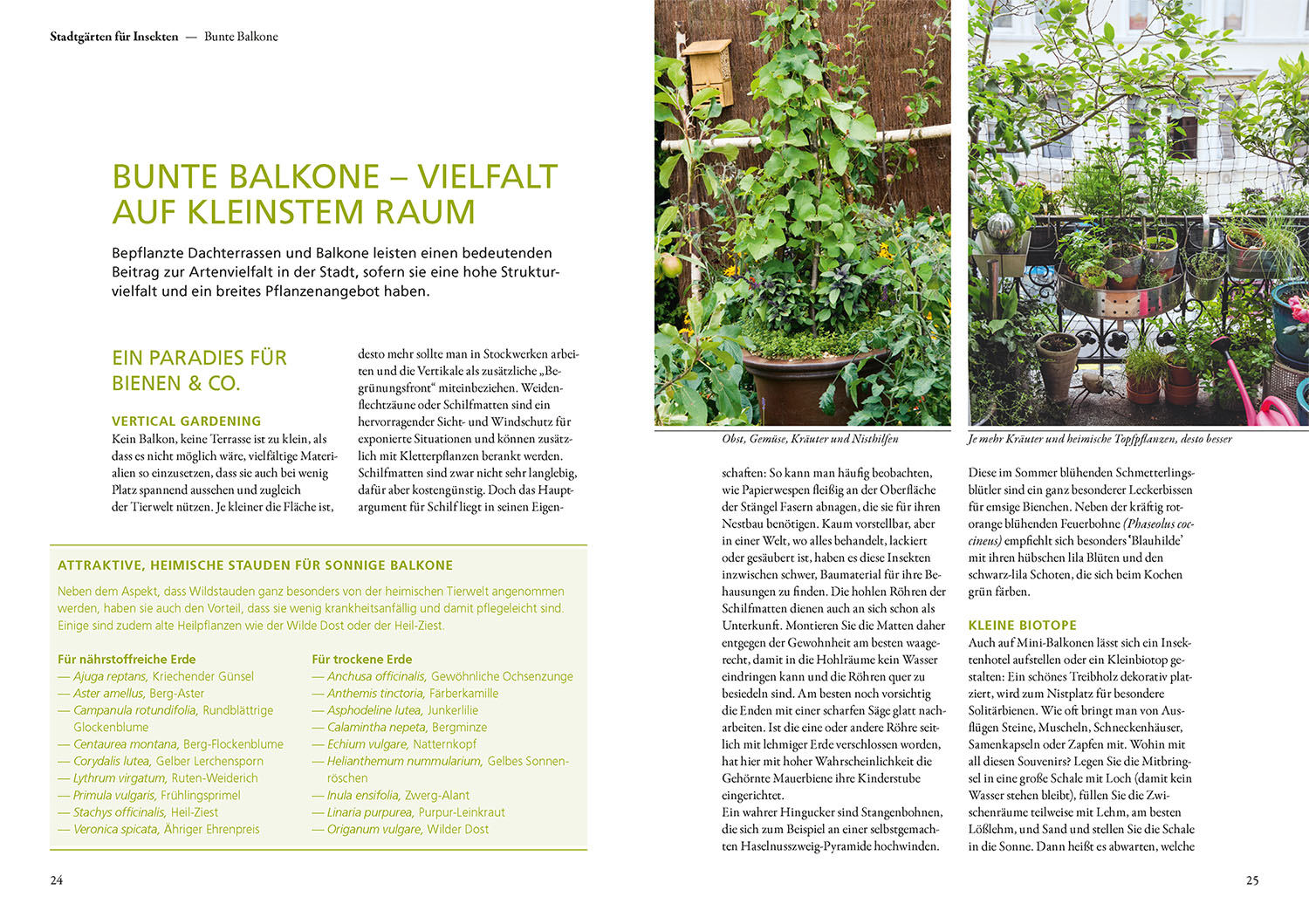 Buch - Mein Garten summt!