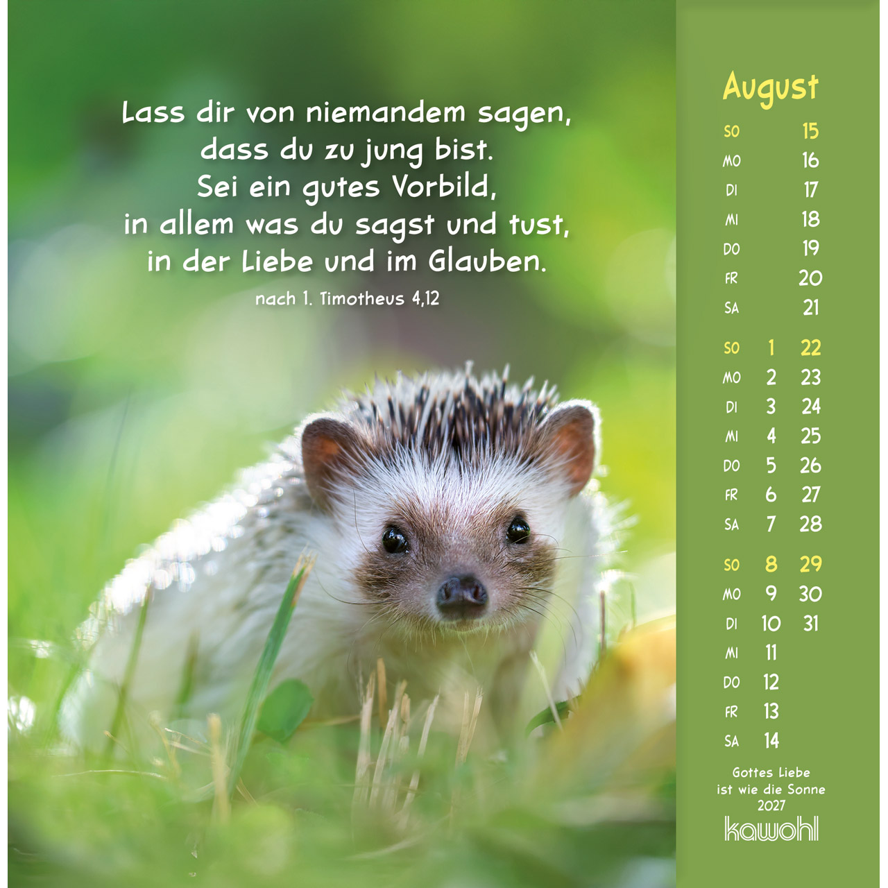 Postkartenkalender - Gottes Liebe ist wie die Sonne 2027