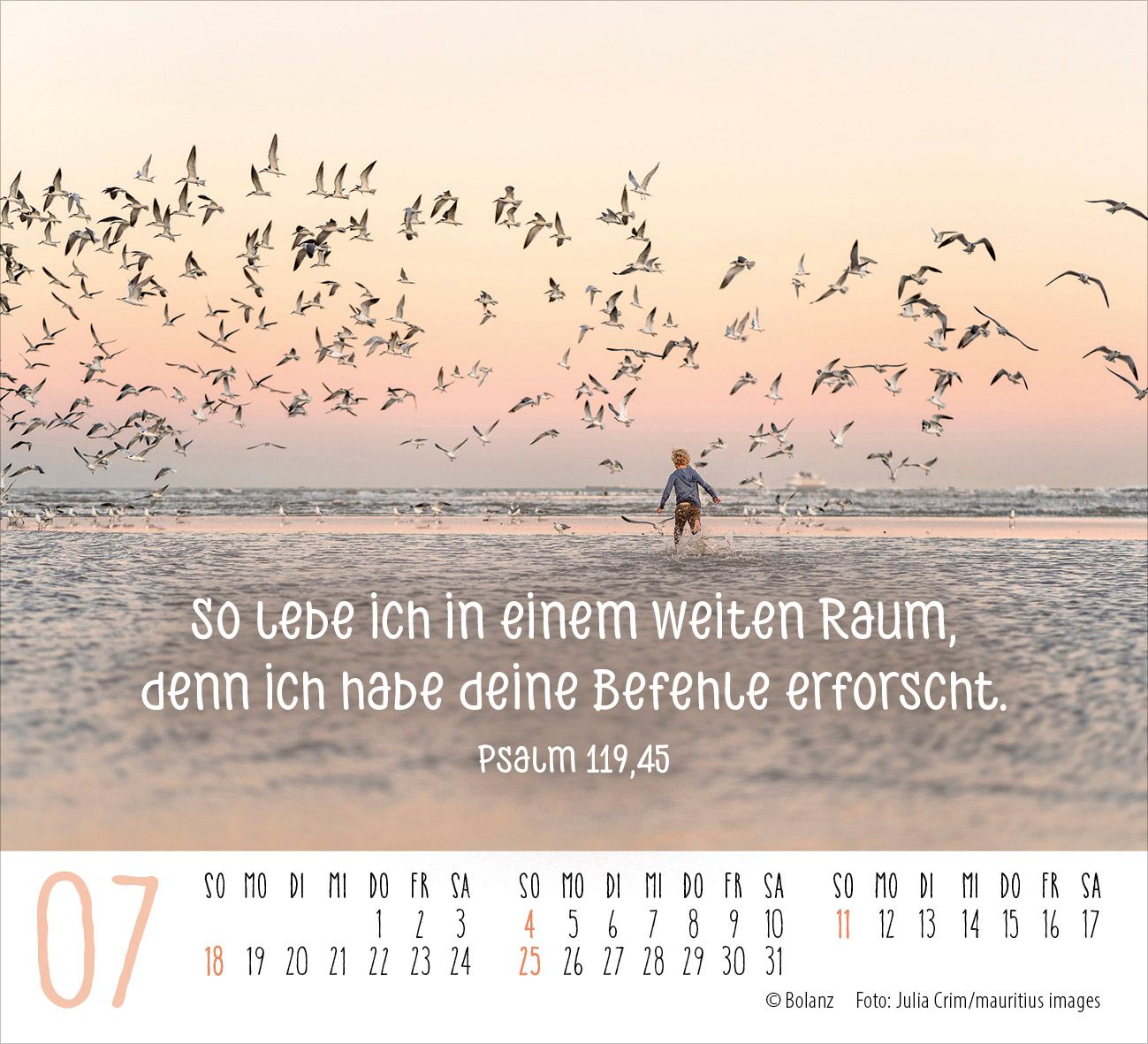 Aufstellkalender - Freiheit 2027 Minikalender