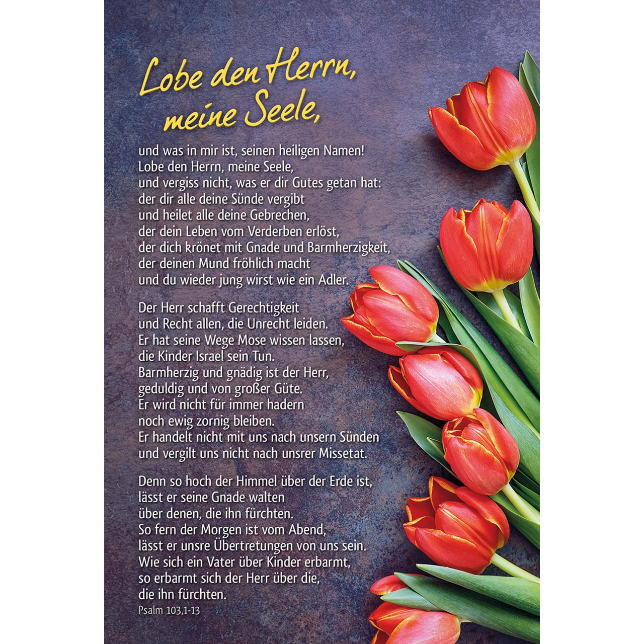 Faltkarte - Lobe den Herrn - rote Tulpen