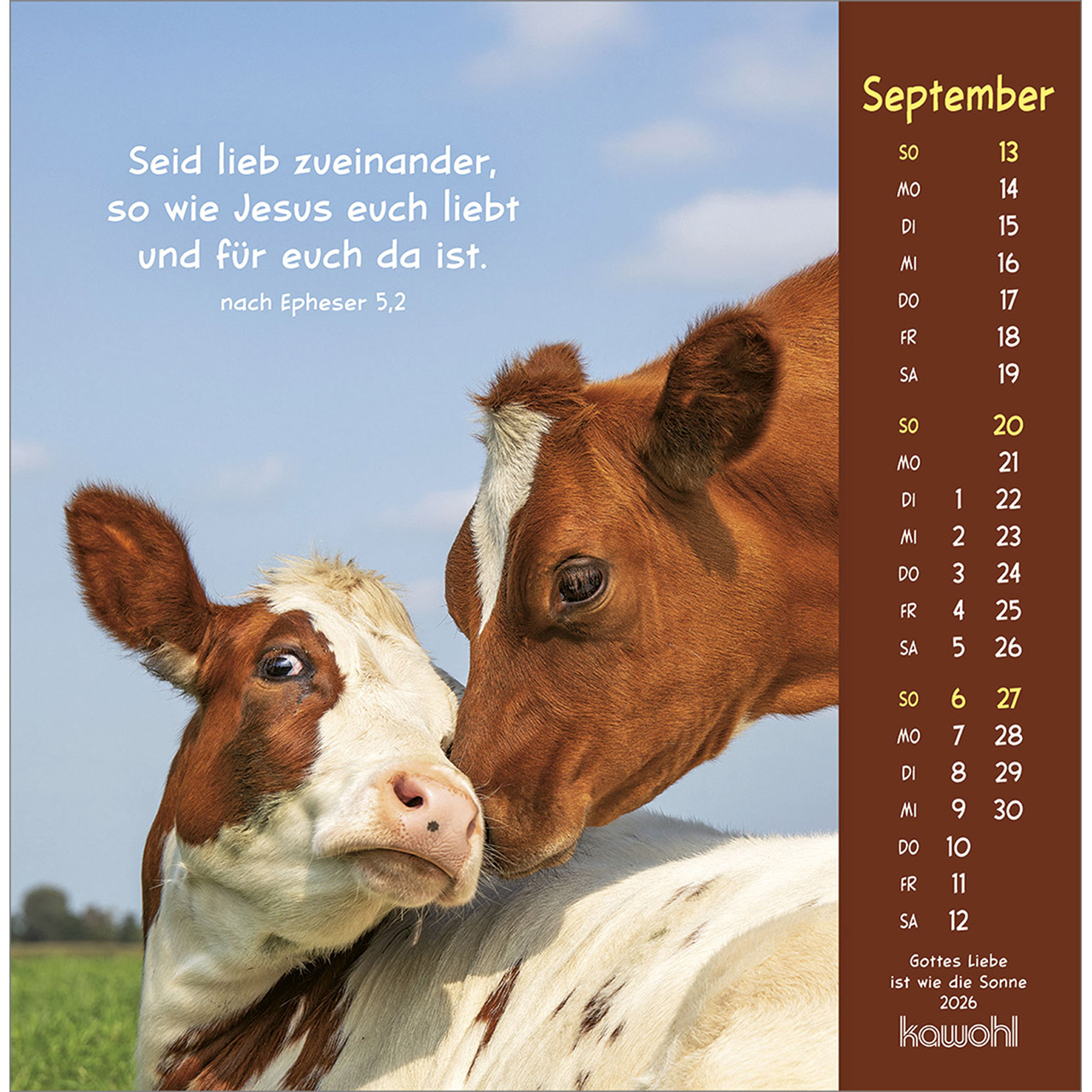 Postkartenkalender - Gottes Liebe ist wie die Sonne 2026 - Hase Kaninchen weiß