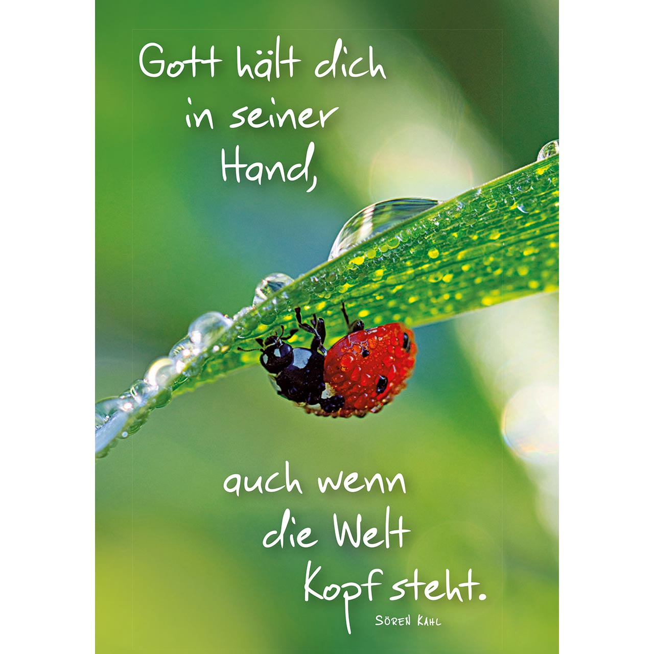 Gott hält dich