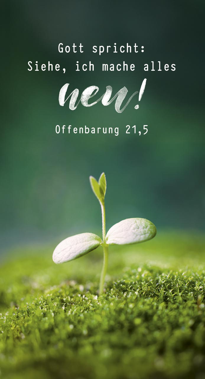 Wanddekoration - Metallschild 'Gott spricht: Siehe, ich mache alles neu!     Offenbarung 21,5'