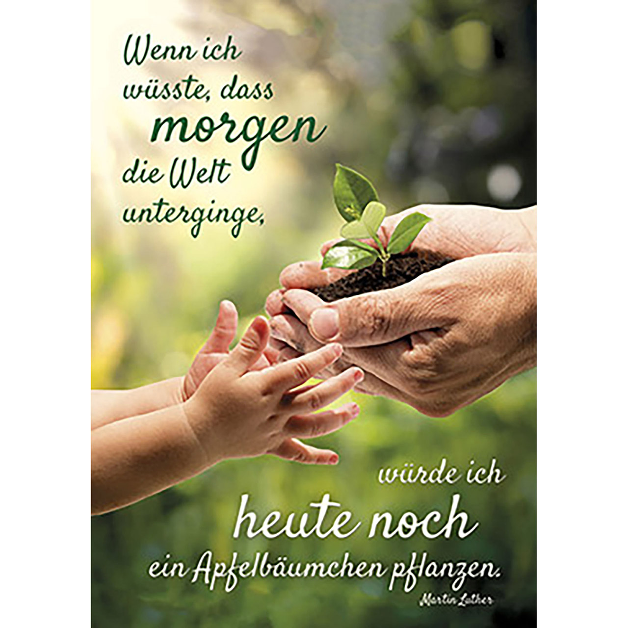 Wenn ich wüsste