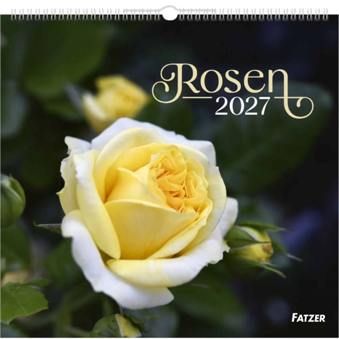 Wandkalender - Rosen 2027