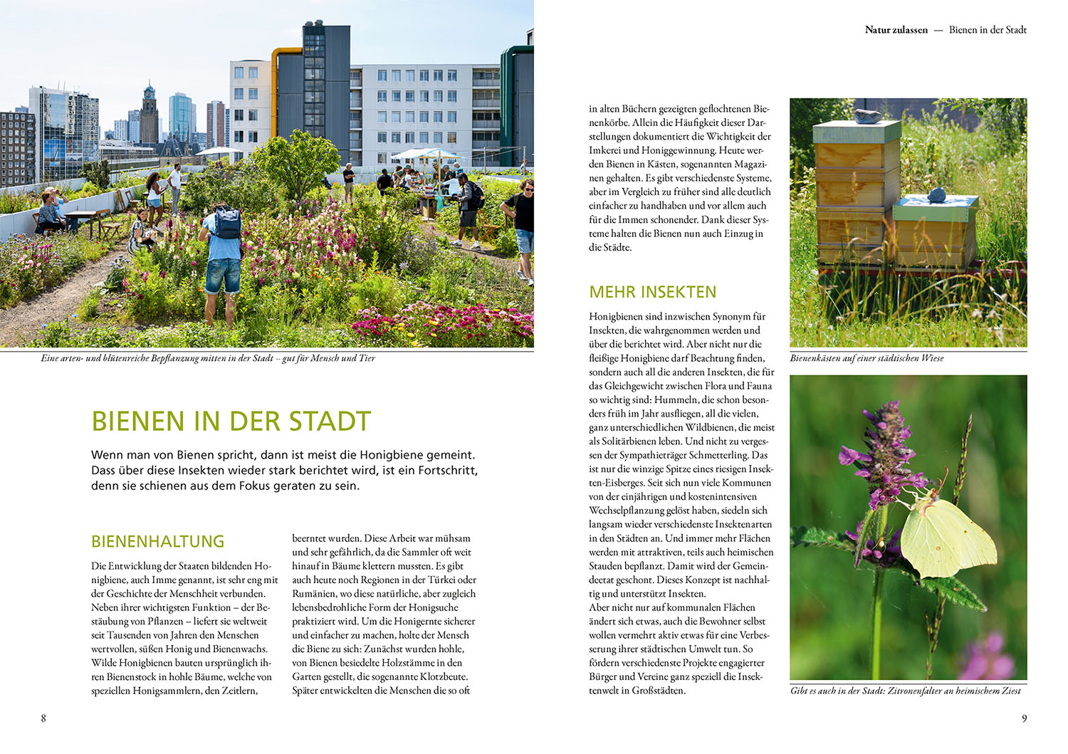 Buch - Mein Garten summt!