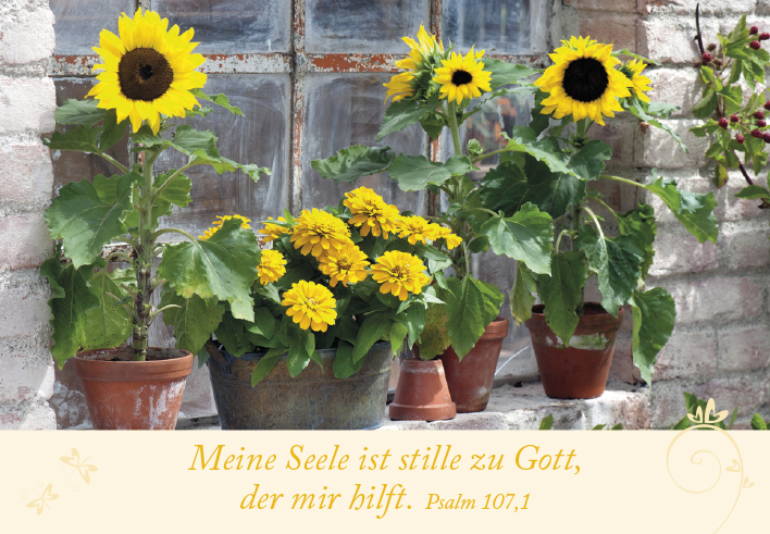 Karten-Box Papier - Neujahrslose "Garten"