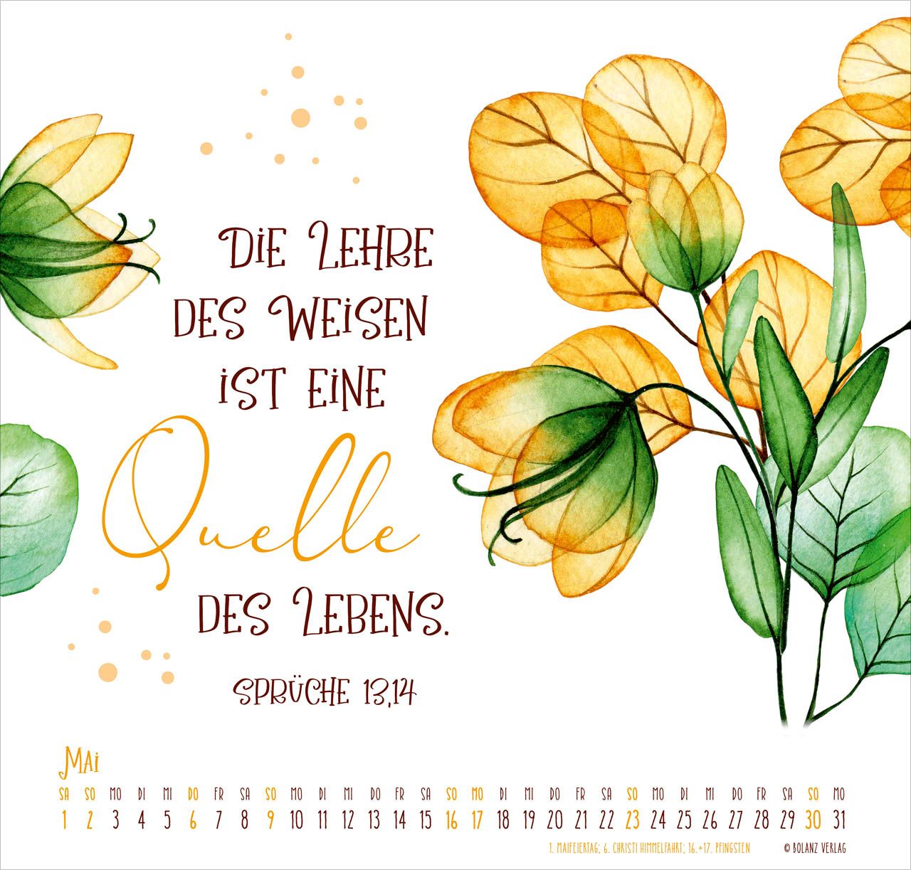 Posterkalender - Gesegnet Tag für Tag 2027