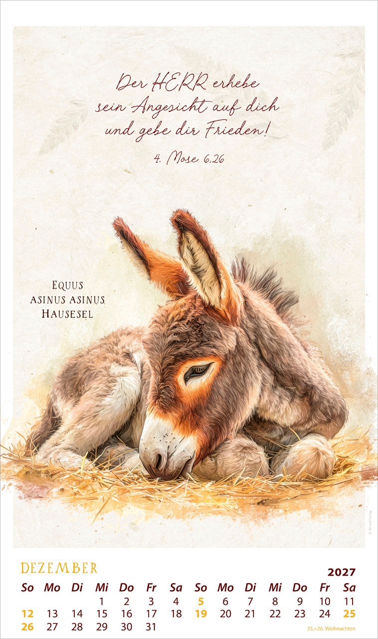 Posterkalender - Schmuckstücke des Schöpfers 2027 Posterkalender