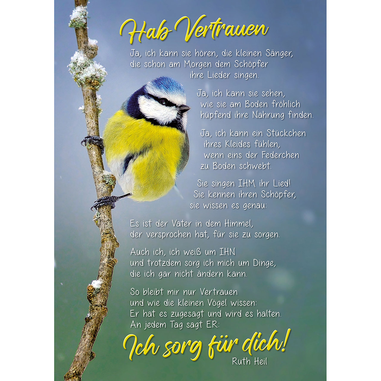 Hab Vertrauen