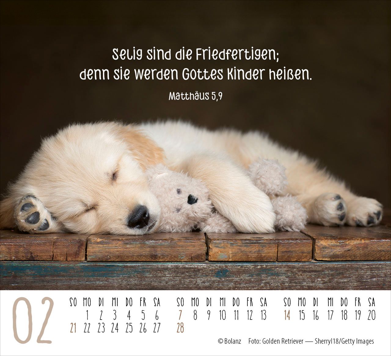 Aufstellkalender - Hunde 2027