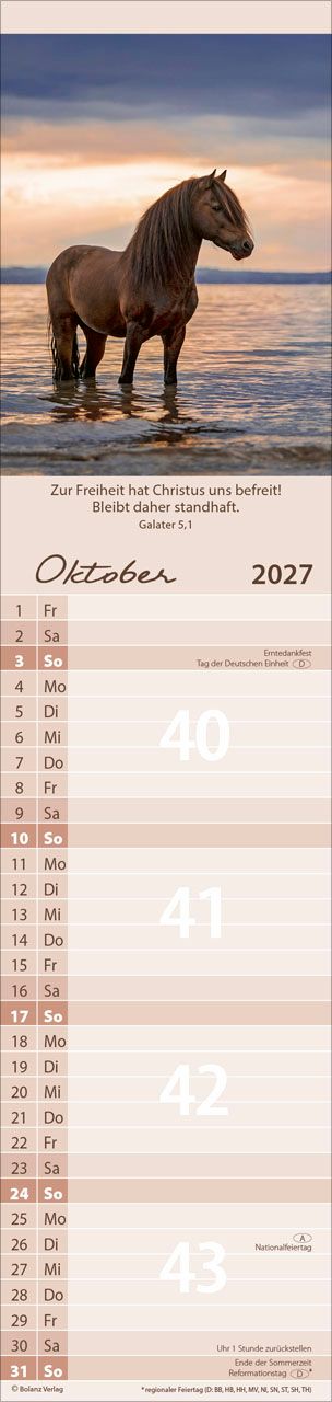 Terminkalender - Für Euch 2027 Streifenterminkalender