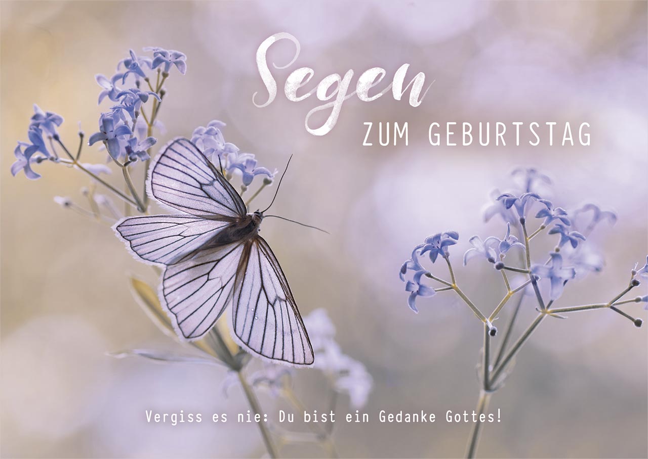 Postkarten - Postkarte Geburtstag - Schmetterling  (12 Ex.)