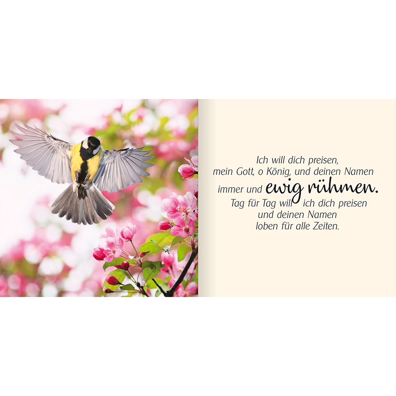 Geschenkbuch - Ich schenke dir Psalm 145 - Wüste Baum