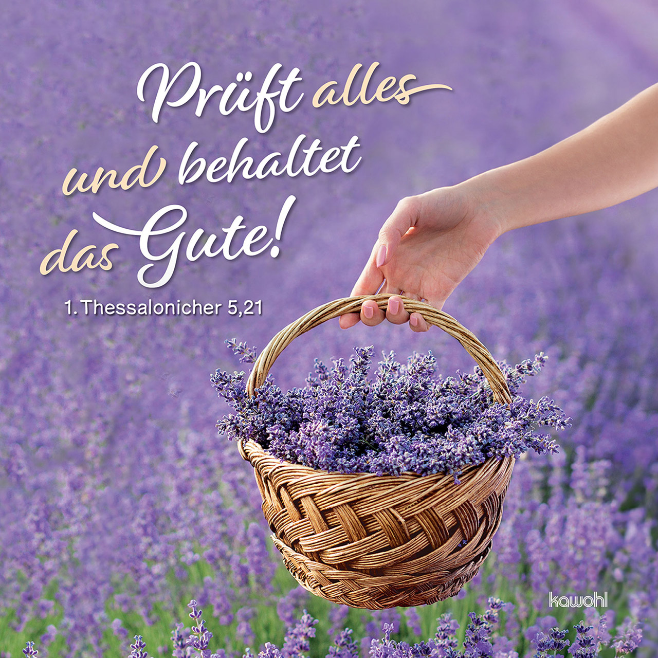 Servietten - Servietten: Prüft alles und behaltet das Gute! - Korb Lavendel Hand Feld