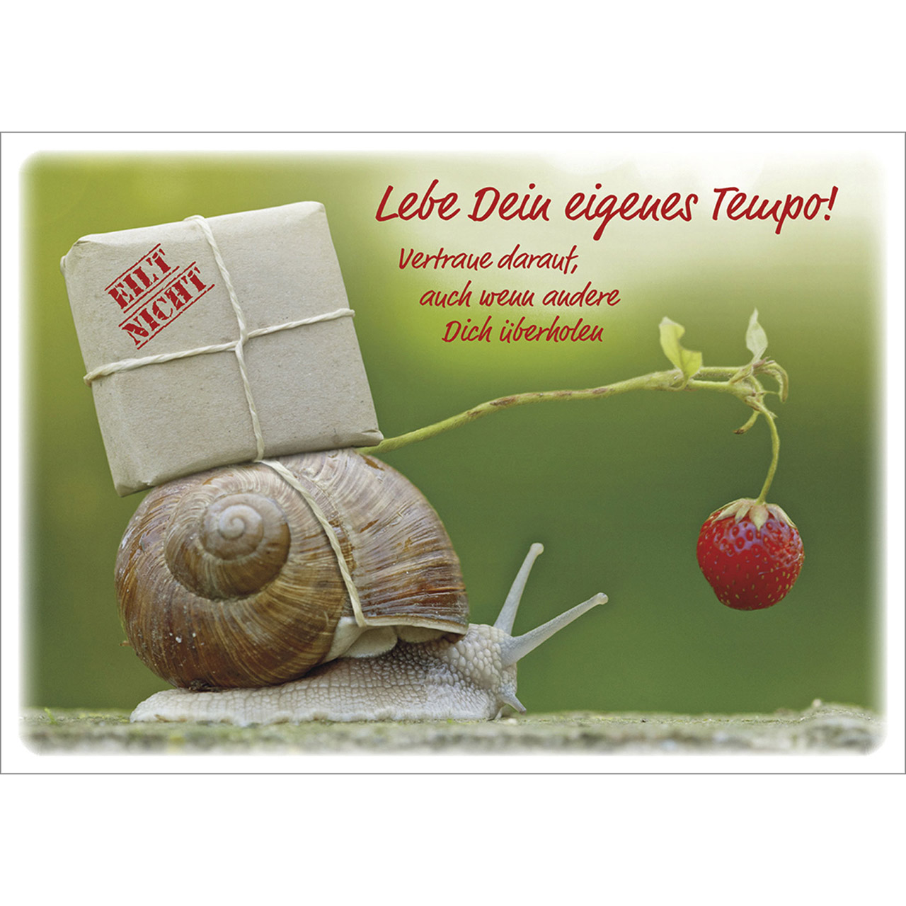 Lebe Dein eigenes Tempo