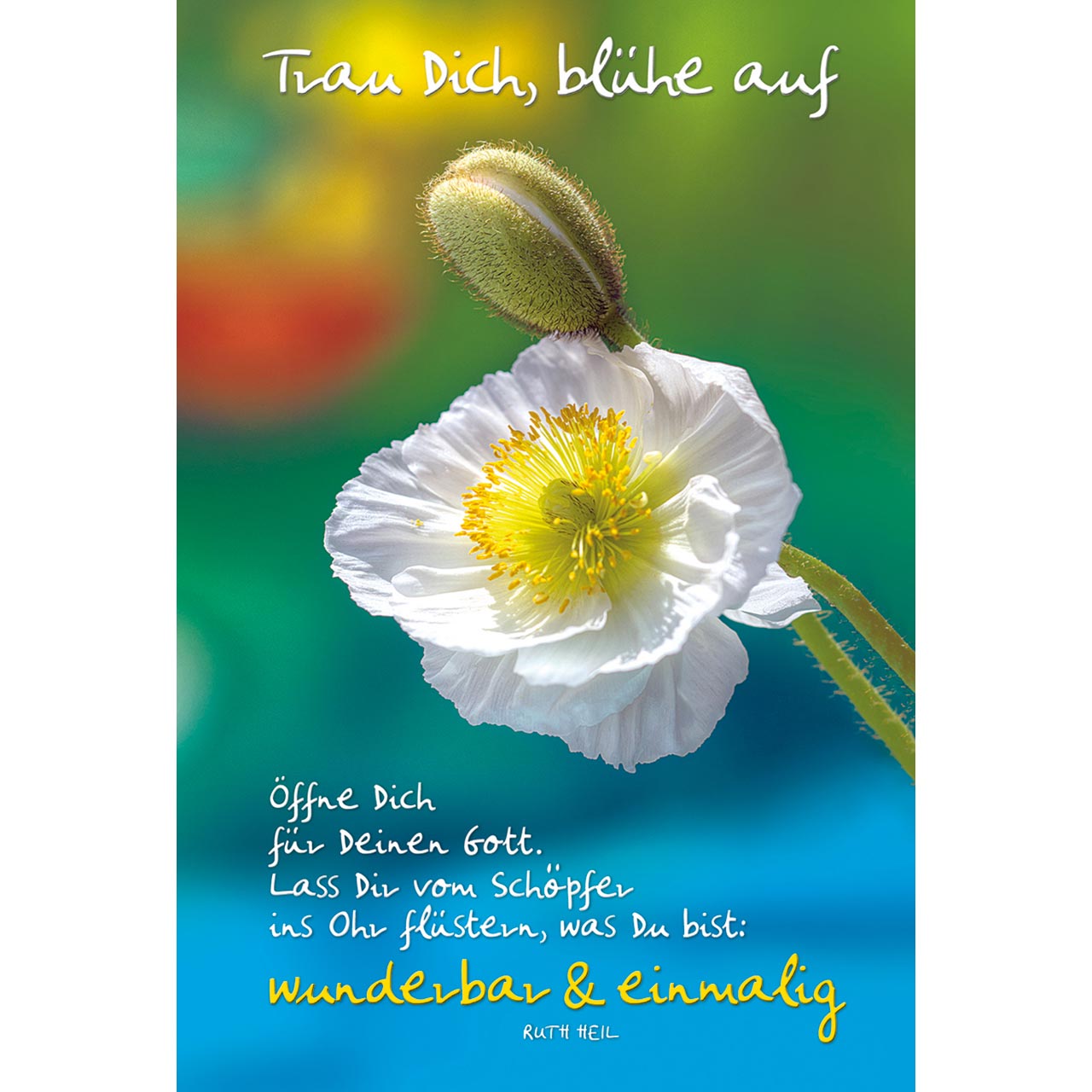 Trau Dich Faltkarte - Trau Dich - Blume weißer Mohn