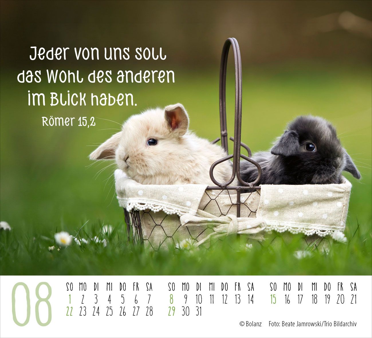 Aufstellkalender - Begegnungen 2027 Minikalender
