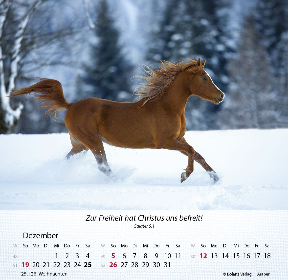 Tischkalender - Pferde 2027 Tischkalender