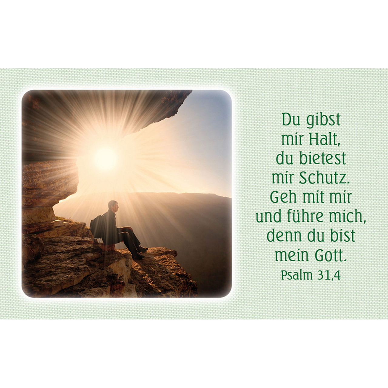 Karten-Box Kunststoff - Geborgen und gehalten - Vogel rosa Blüten Blaumeise