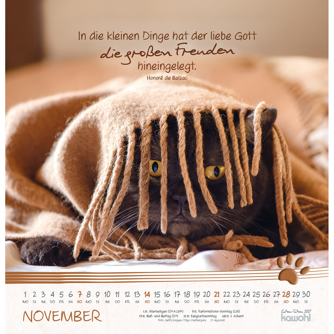 Wandkalender - Katzen-Tatzen 2027