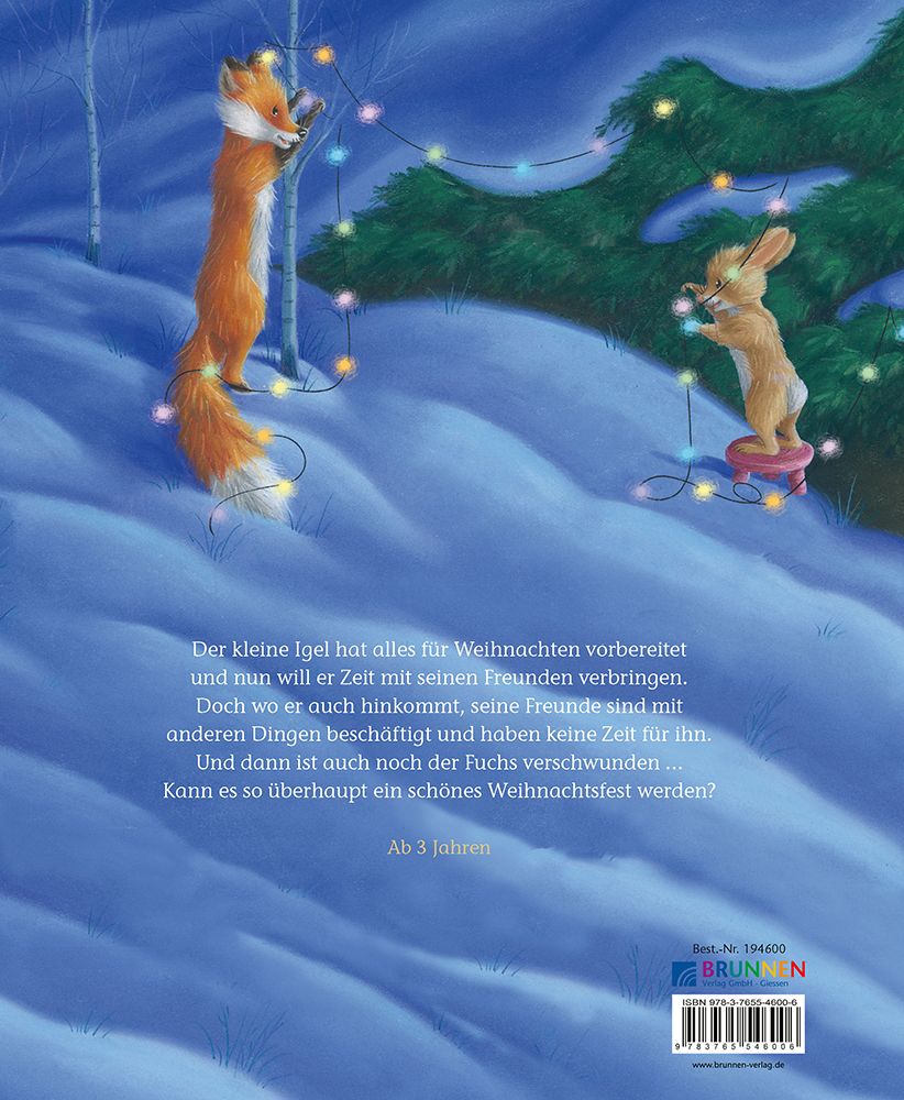 Buch - Der kleine Igel und der turbulente Weihnachtstag