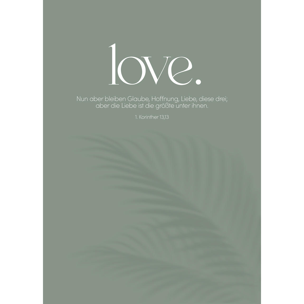 Postkarten - love. - Schatten von Palmblättern