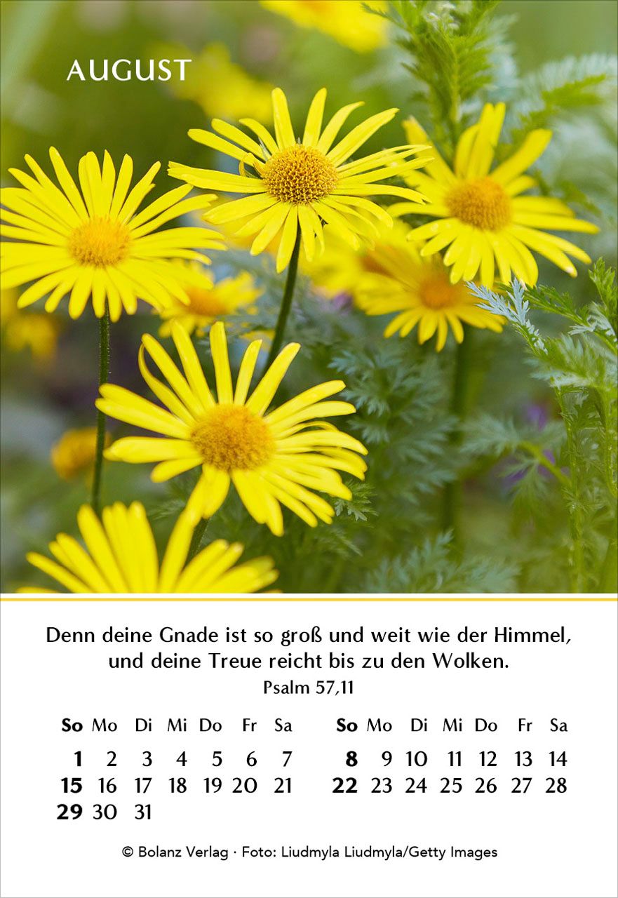 Aufstellkalender - Ein Jahr der Freude 2027