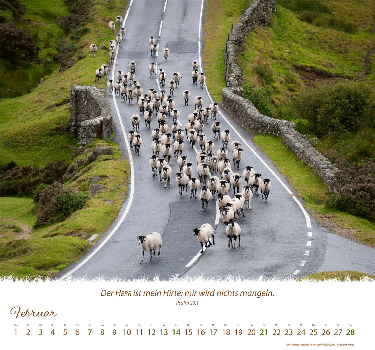 Wandkalender - Ein Leben für die Schafe 2027 Wandkalender