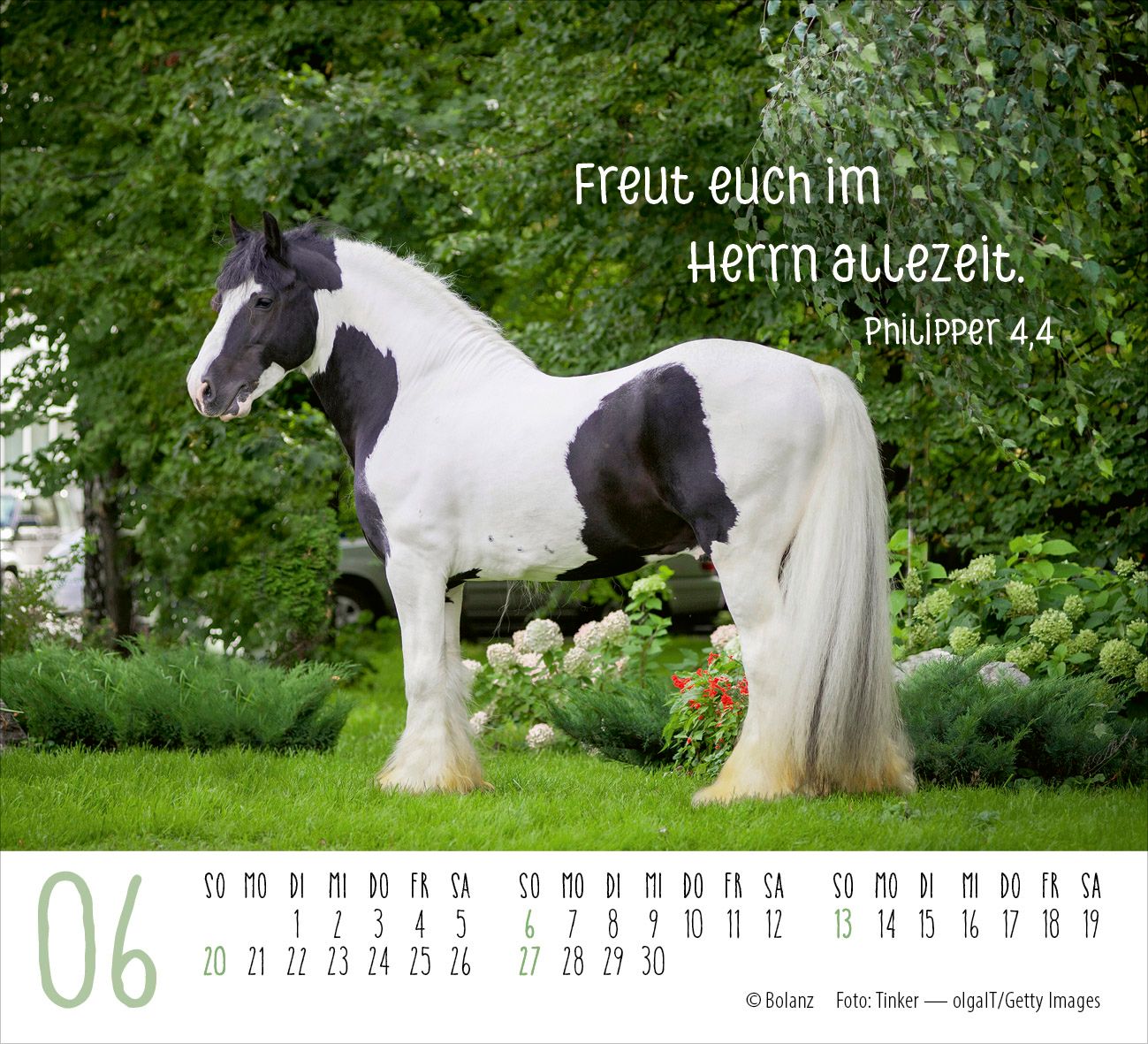 Aufstellkalender - Pferde 2027