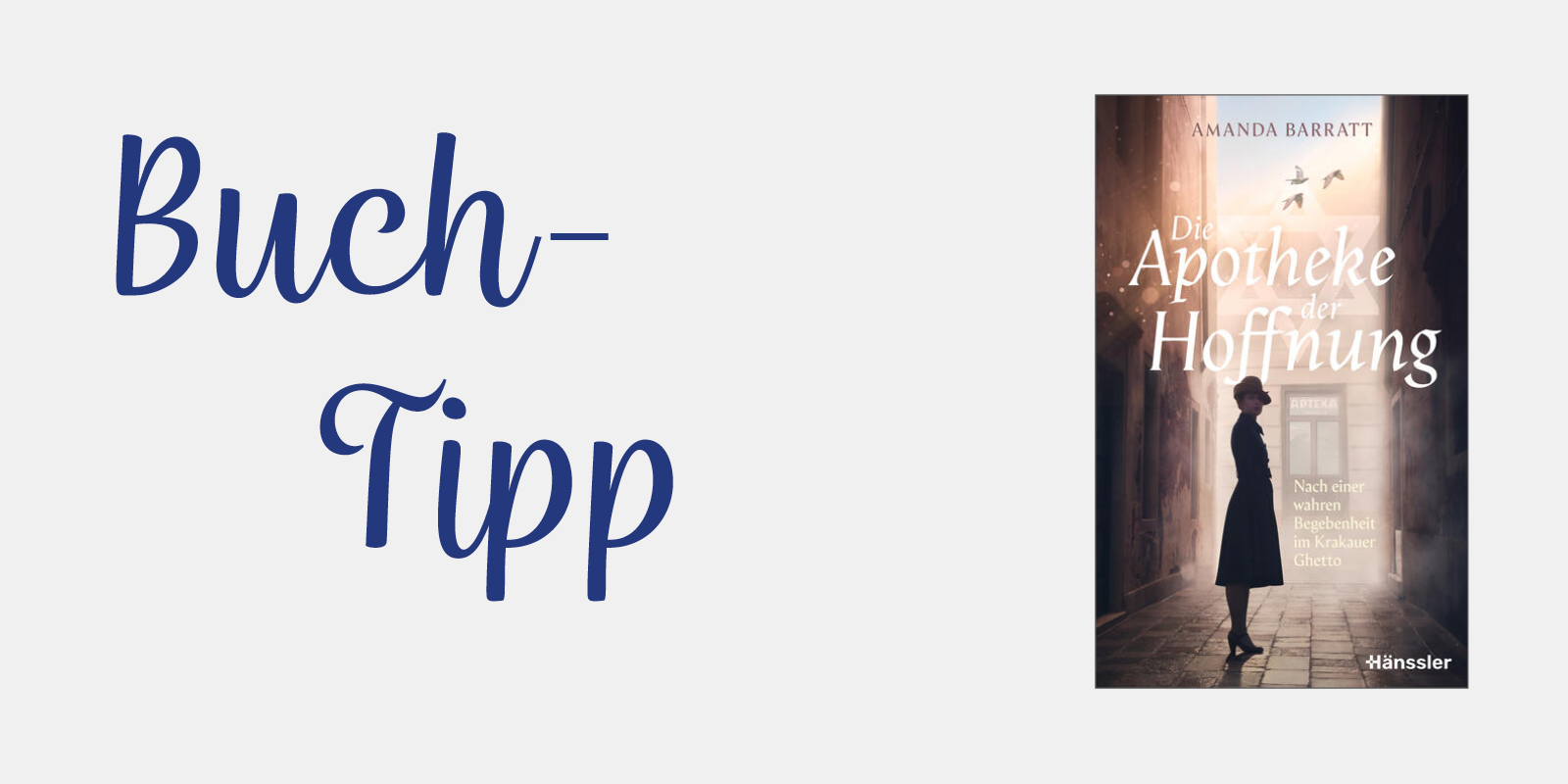 Graues Banner mit Roman-Cover und Text "Buch-Tipp"