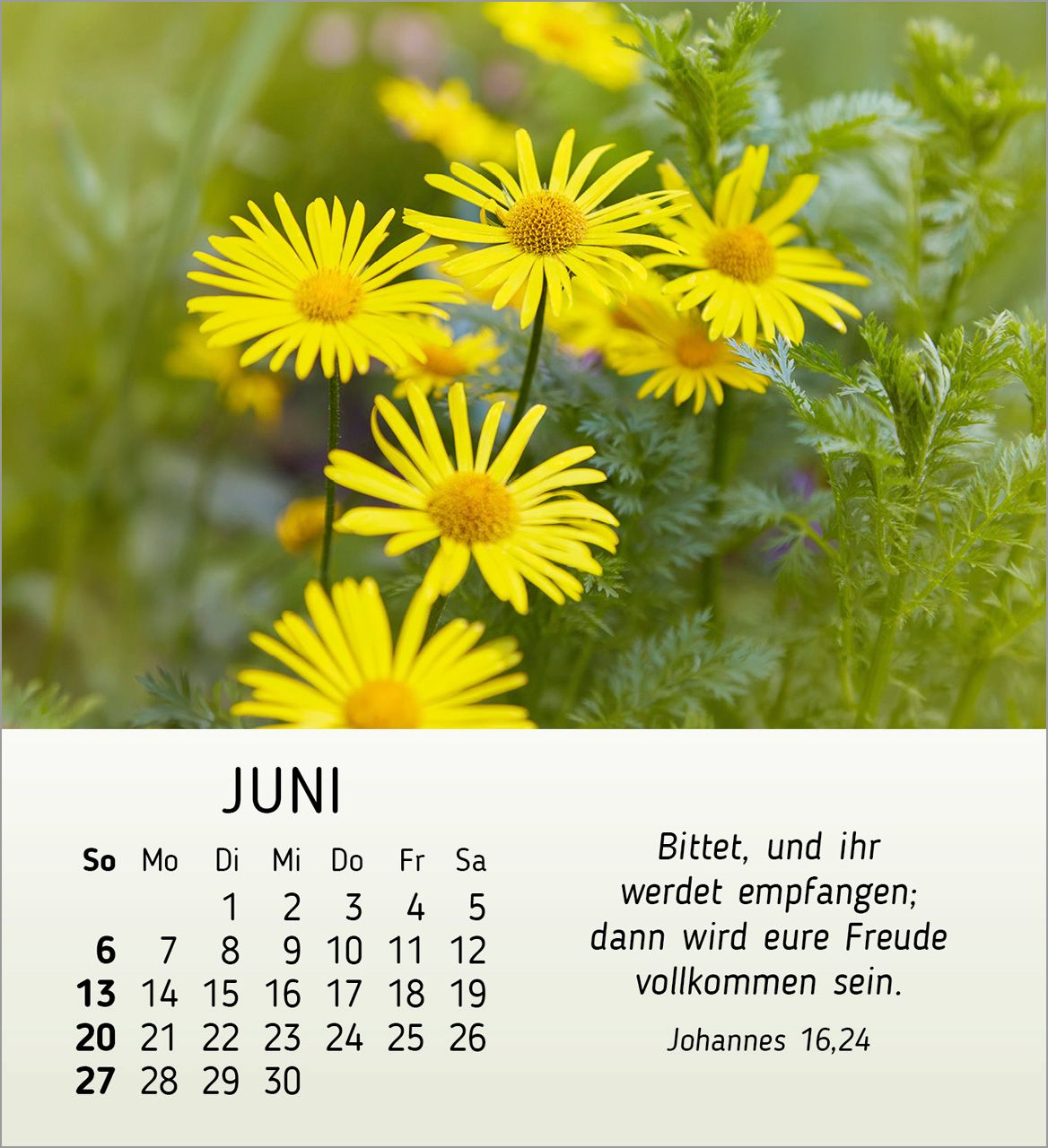 Tischkalender - Ich wünsch dir Freude 2027