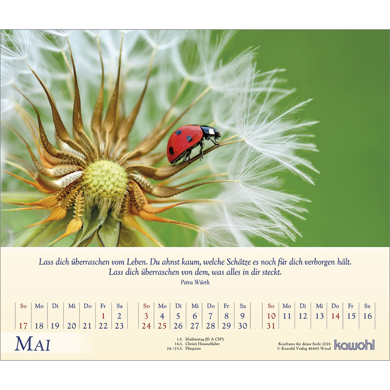 Postkartenkalender - Kostbares für deine Seele 2026