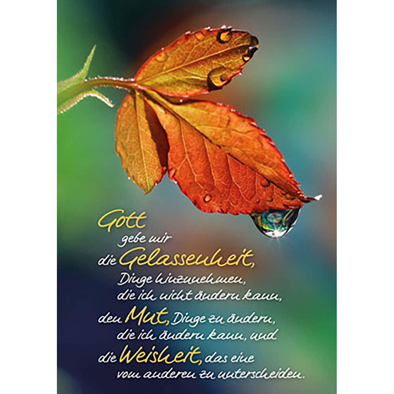 Gott gebe mir die Gelassenheit
