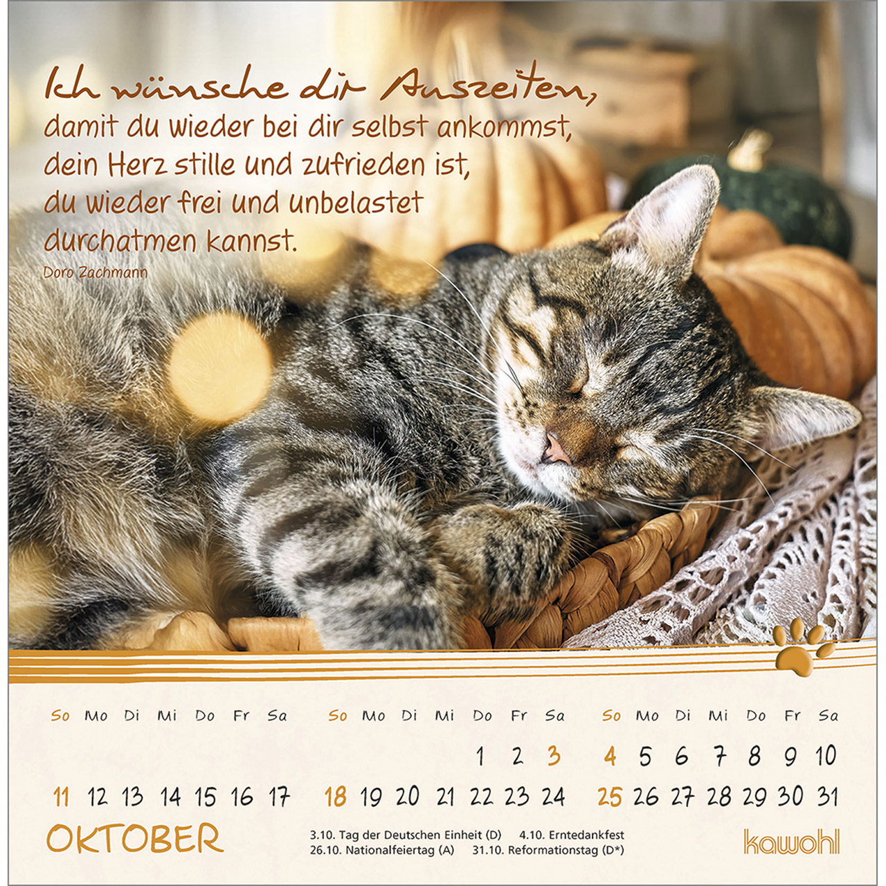 Postkartenkalender - Kleine Katzen-Tatzen 2026