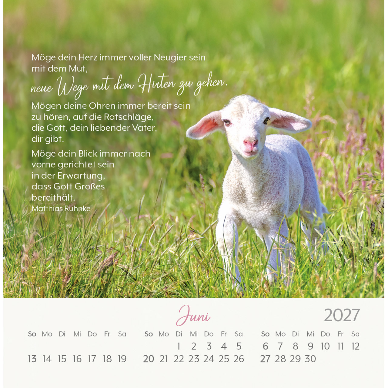 Postkartenkalender - Herzenswünsche 2027