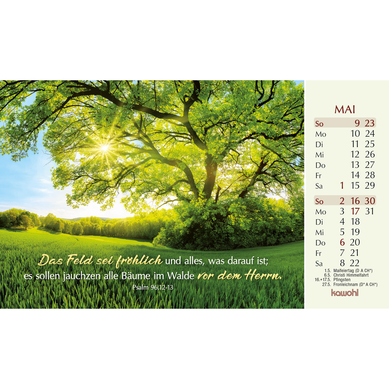 Postkartenkalender - Heute und morgen bin ich geborgen 2027