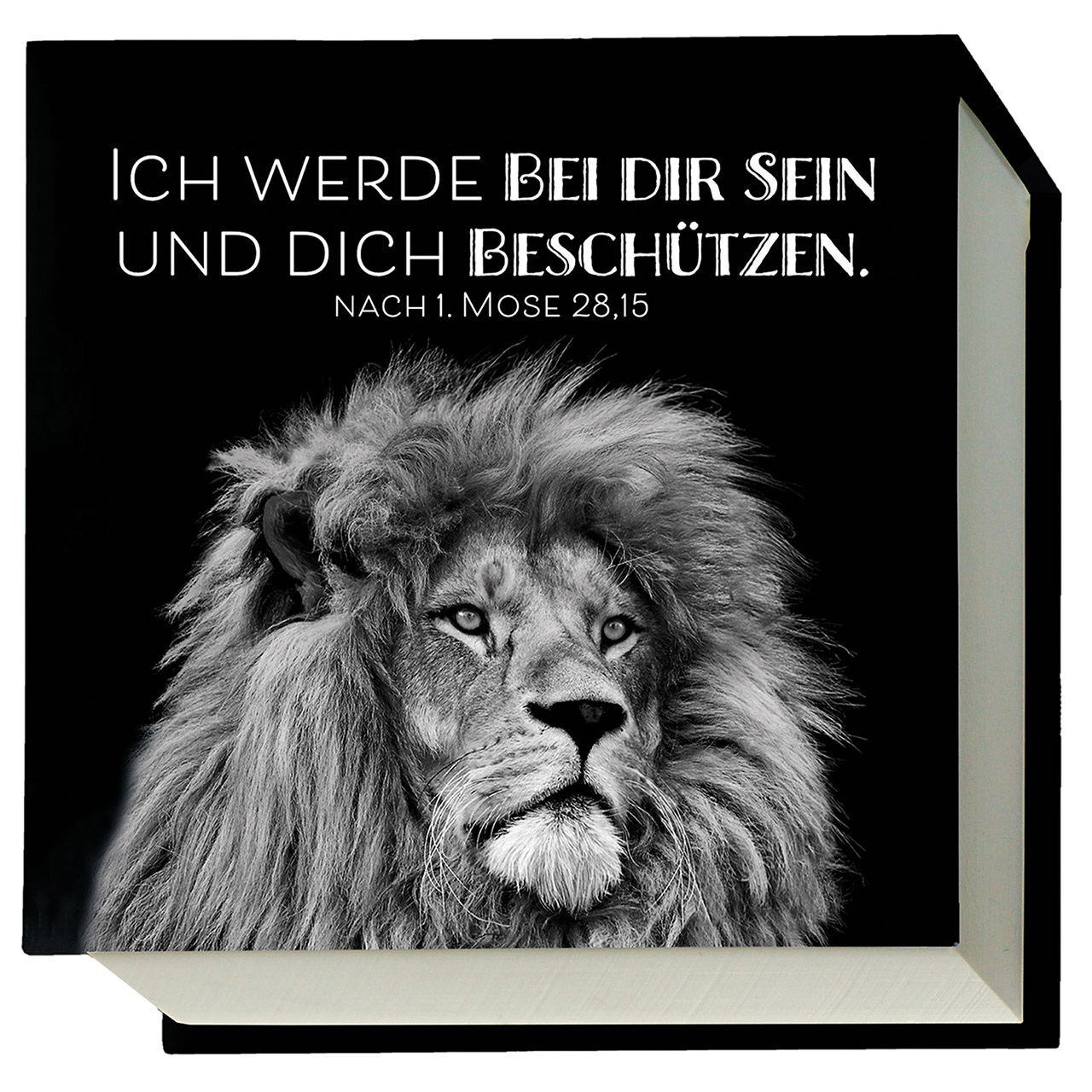 Ich werde bei dir sein