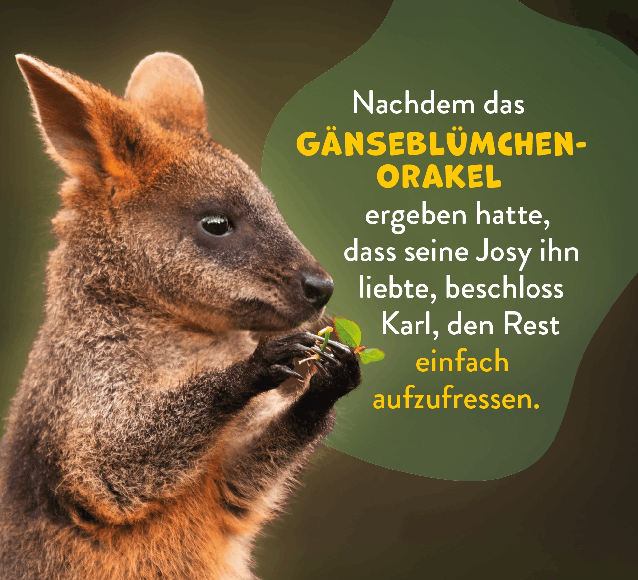Aufstellbuch - Tierisch happy jeden Tag